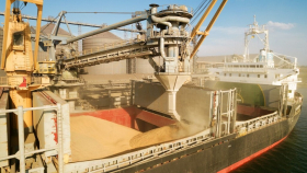 Из-за санкций в Иране застряли десятки судов с зерном и сахаром